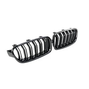 Radiator grille and bumper