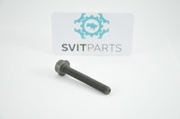 Camshaft gear bolt VAG N10544904