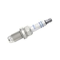 Spark plug