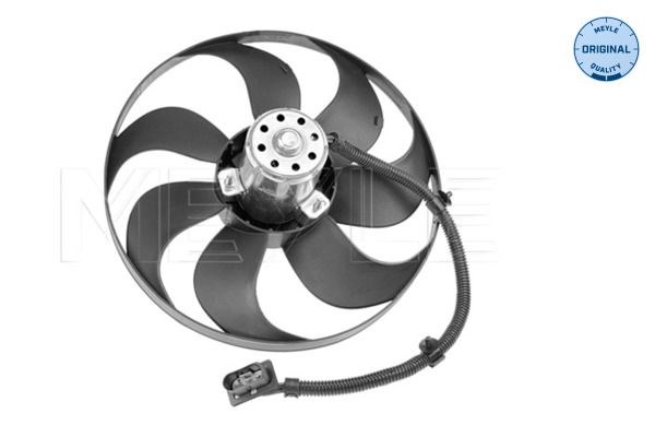 Fan, engine cooling system