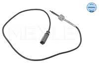 Exhaust gas temperature sensor