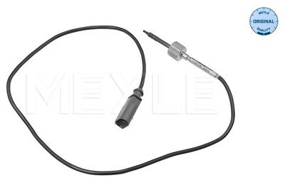 Exhaust gas temperature sensor