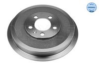 Brake drum