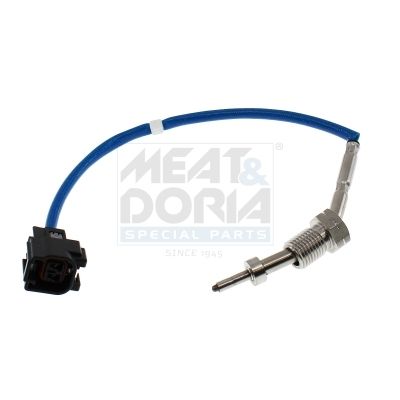 Exhaust gas temperature sensor