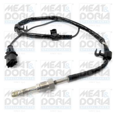 Exhaust gas temperature sensor