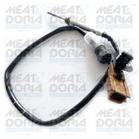 Exhaust gas temperature sensor