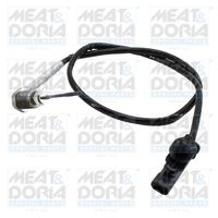 Exhaust gas temperature sensor