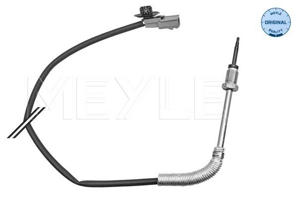 Exhaust gas temperature sensor