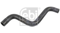 Radiator hose