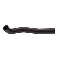 Radiator hose