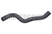 Radiator hose