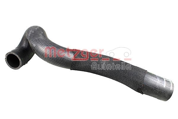 Radiator hose