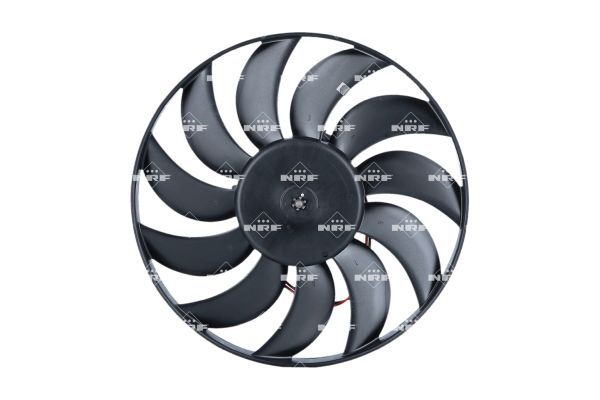 Fan, engine cooling system