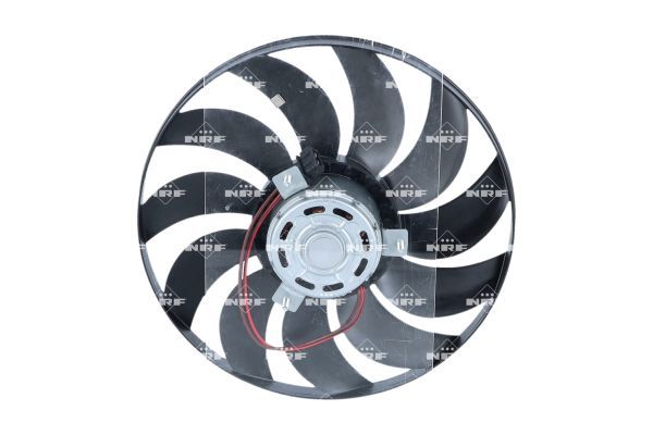 Fan, engine cooling system