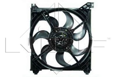 Fan, engine cooling system