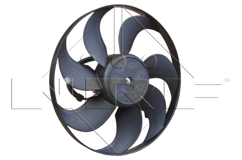 Fan, engine cooling system