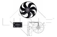 Fan, engine cooling system