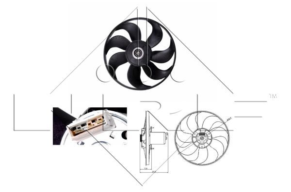 Fan, engine cooling system