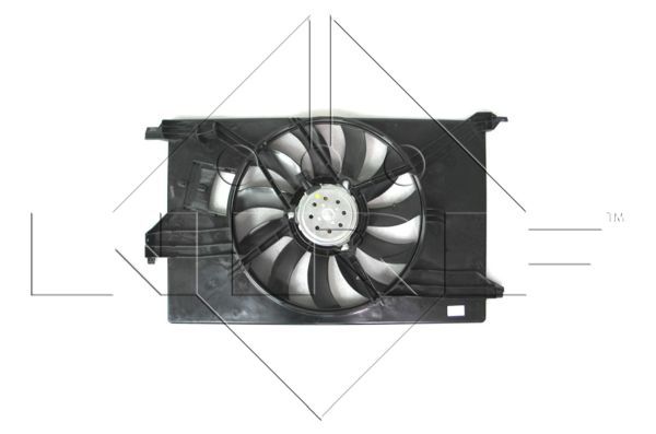 Fan, engine cooling system