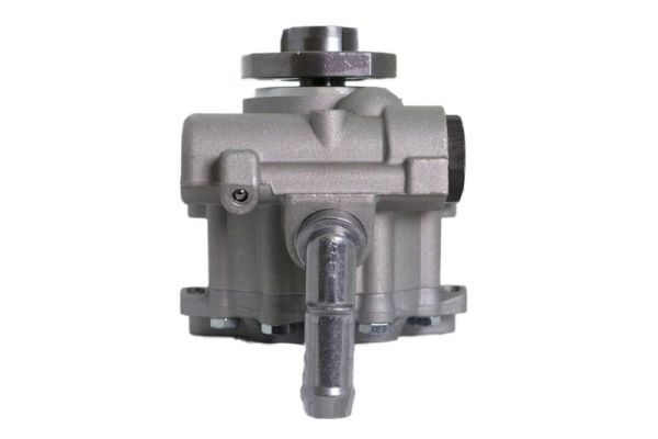 Hydraulic pump, steering mechanism