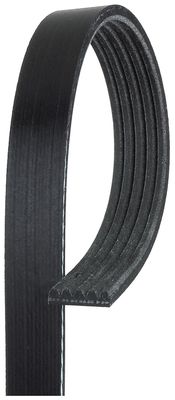 V-belt