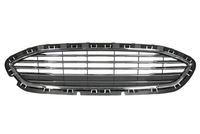 Radiator grille