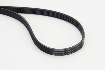 V-belt