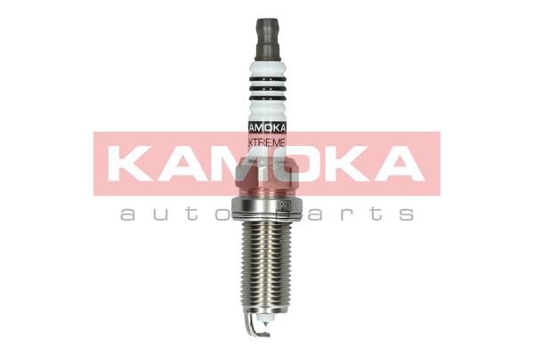 Spark plug