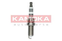 Spark plug