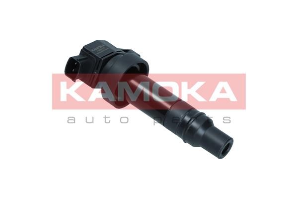 Ignition coil