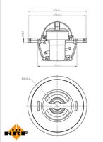 Thermostat, coolant