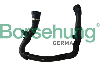 Radiator hose