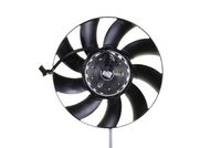 Fan, engine cooling system