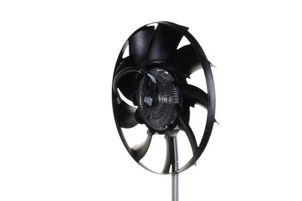 Fan, engine cooling system