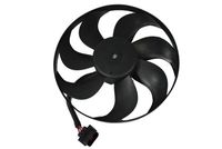 Fan, engine cooling system