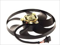 Fan, engine cooling system