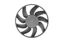 Fan, engine cooling system