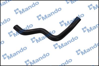 Radiator hose