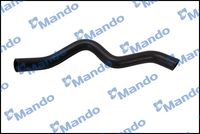 Radiator hose