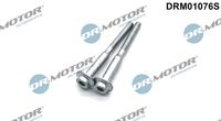 Screw, injector nozzle holder