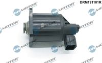 EGR valve, exhaust gas control system