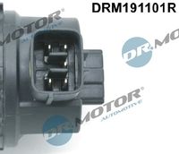 EGR valve, exhaust gas control system