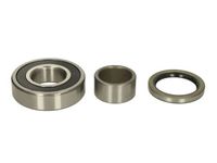 A set of wheel bearings