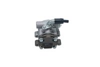 Hydraulic pump, steering mechanism