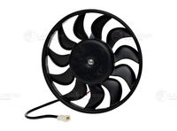 Fan, engine cooling system