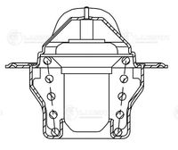 Thermostat, coolant