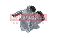 Hydraulic pump, steering mechanism