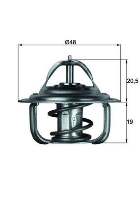 Thermostat, coolant