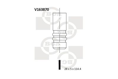 Inlet valve